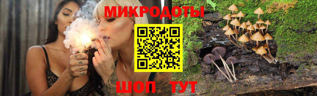 Галлюциногенные грибы прущие грибы  Псилоцибиновые грибы Cubensis  Сосновоборск  Вход с VPN 