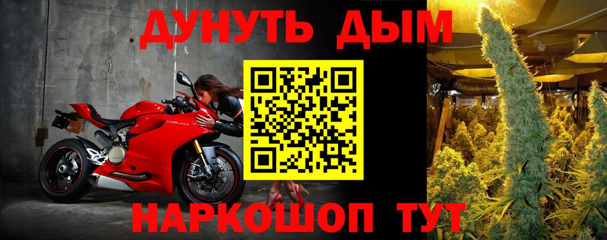 Бошки Шишки ГИДРОПОН  Бошки Шишки тримм  Марихуана тримм  Вход с VPN  Сосновоборск  Каннабис Amnesia 